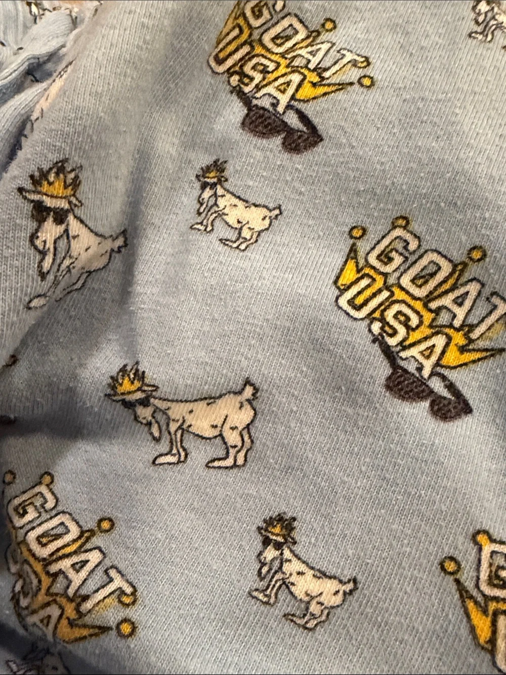 GOAT USA Light Blue Kids Pajama Pants Size Large